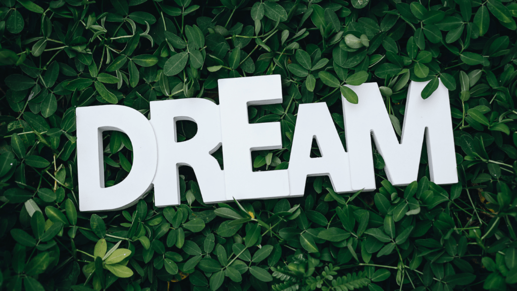 dream text on green leaves