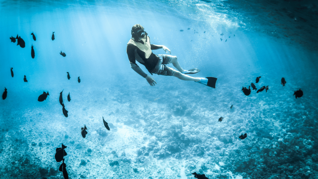 snorkeling in the Maldives