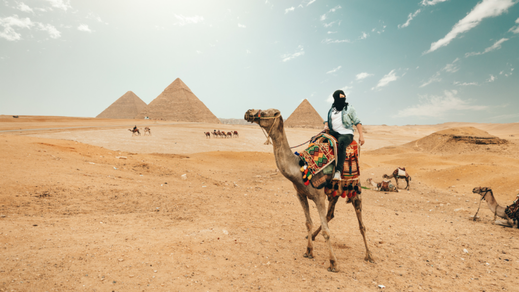 a person riding a camel