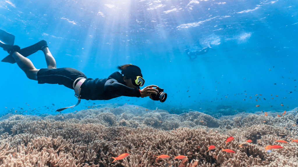 a scuba diver