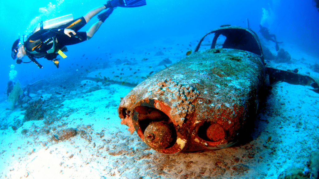 a person wearing a scuba suit