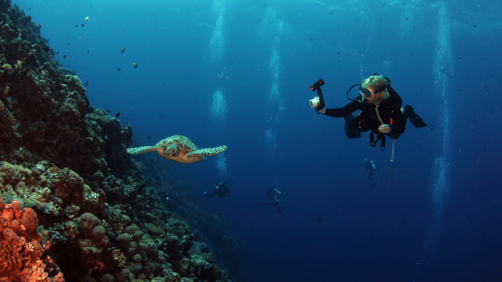 a scuba diver