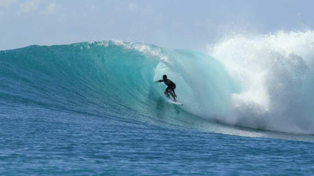 image of a person surfing