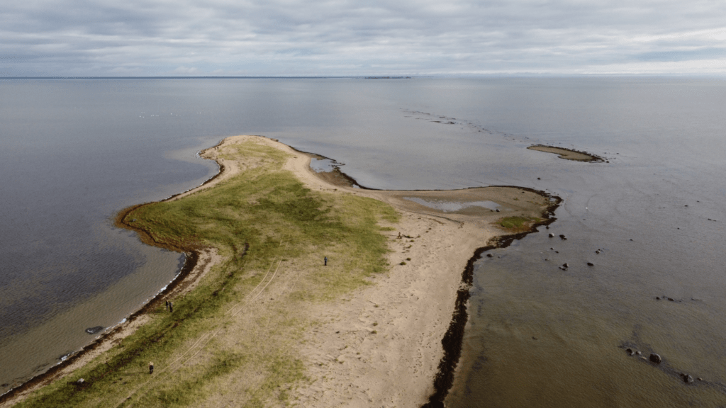 mexico beach