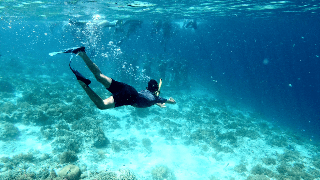 snorkeling in the Maldives