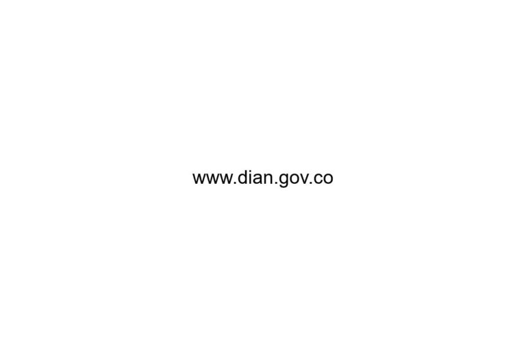 www dian gov co