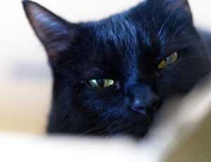 instructions for map guide lwmfmaps