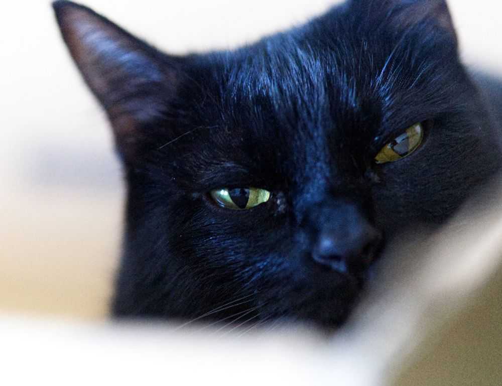 instructions for map guide lwmfmaps