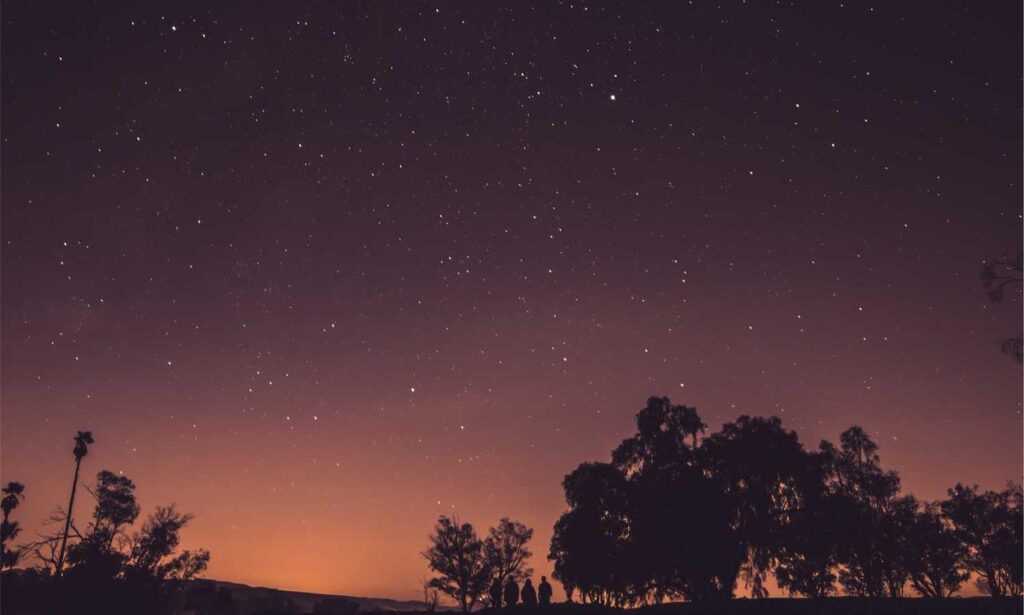 low prices lwmfhotels