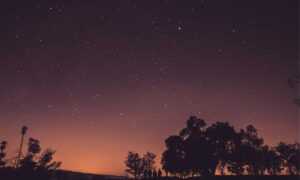 low prices lwmfhotels