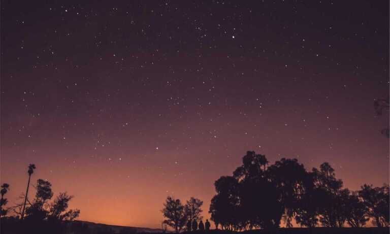 low prices lwmfhotels