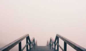 lwmfmaps the map guide