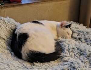 map infoguide lwmfmaps