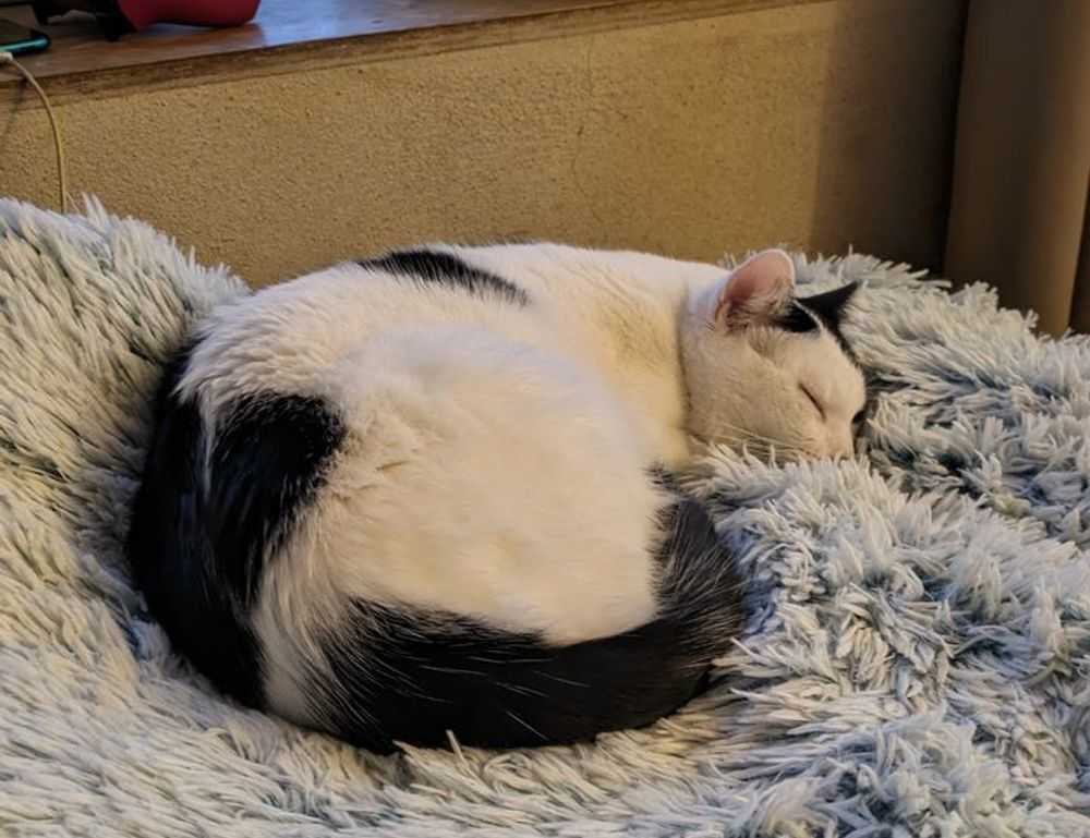 map infoguide lwmfmaps