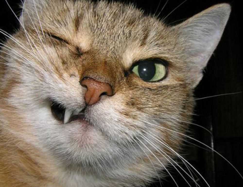 the map guide lwmfmaps