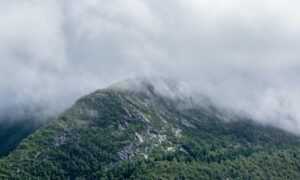 voucher codes lwmfhotels