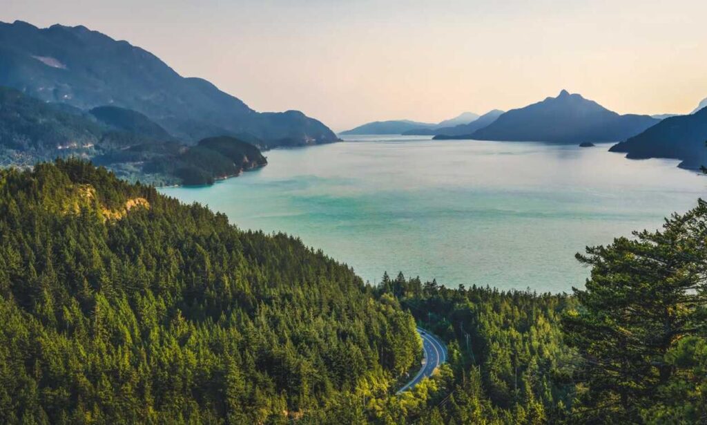 what are the zydaisis disease condition