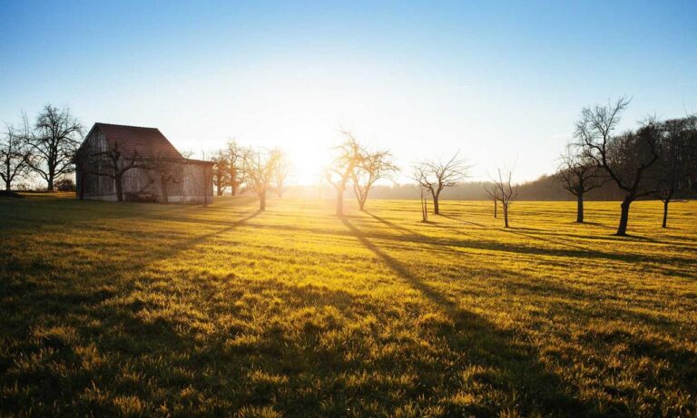 why do i keep failing in beatredwar