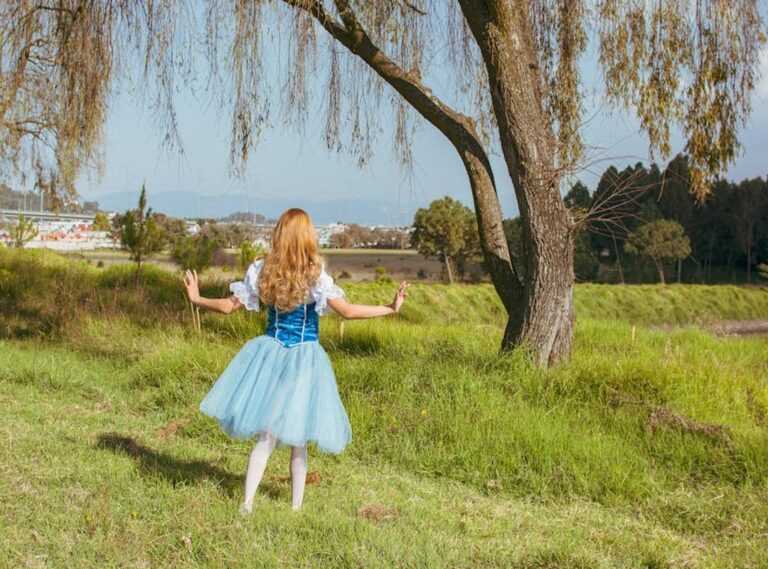 alice in tara minunilor fisa de lectura