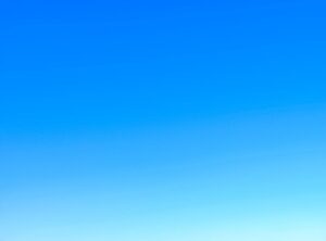 Lwmftravel