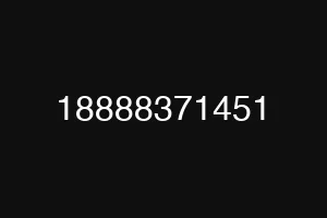 18888371451