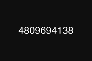 4809694138