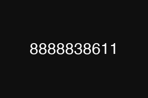 8888838611