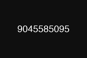 9045585095