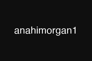 anahimorgan1