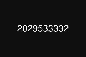 2029533332
