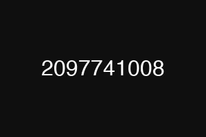 2097741008