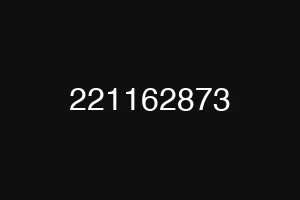 221162873
