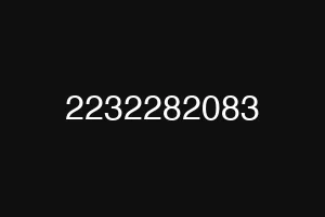 2232282083