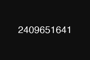 2409651641