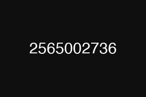 2565002736