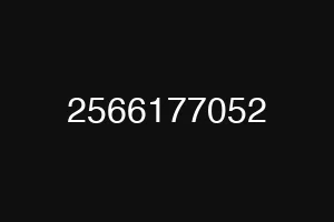 2566177052