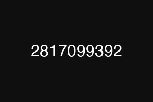 2817099392