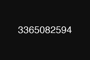 3365082594