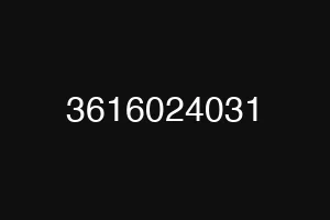 3616024031