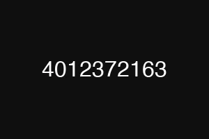 4012372163