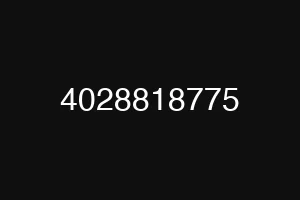 4028818775