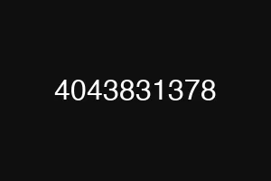 4043831378