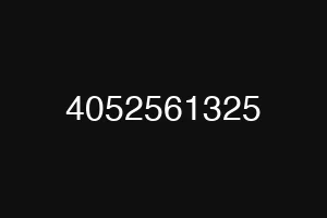 4052561325
