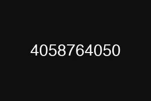 4058764050