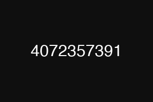 4072357391