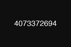 4073372694