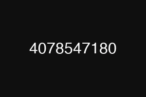 4078547180