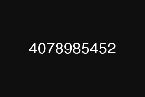 4078985452