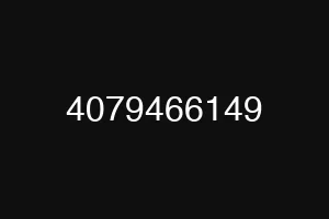 4079466149