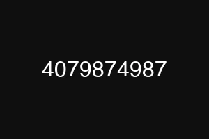 4079874987